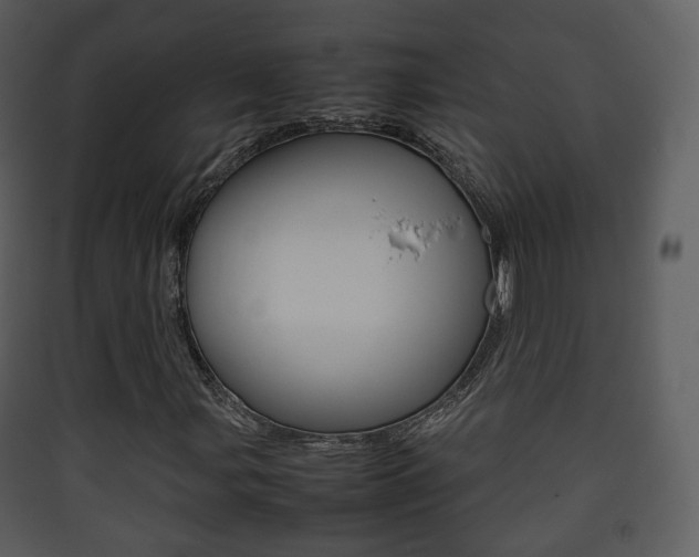 X0000090411107200707130919