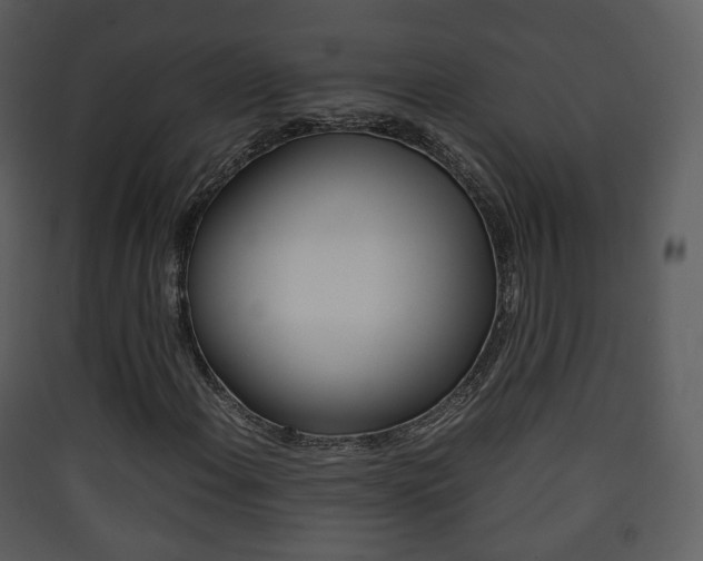 X0000090411108200707130919