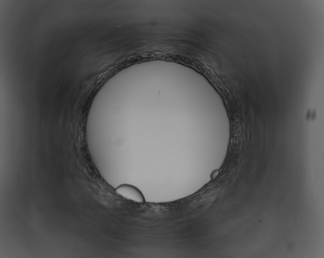 X0000090411109200707130919