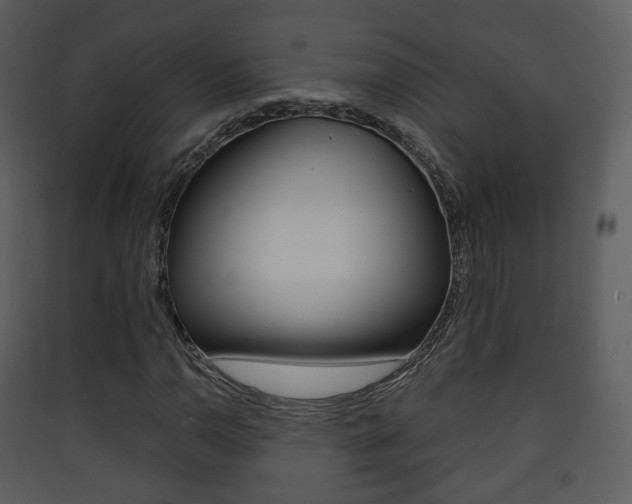 X0000090411110200707130919