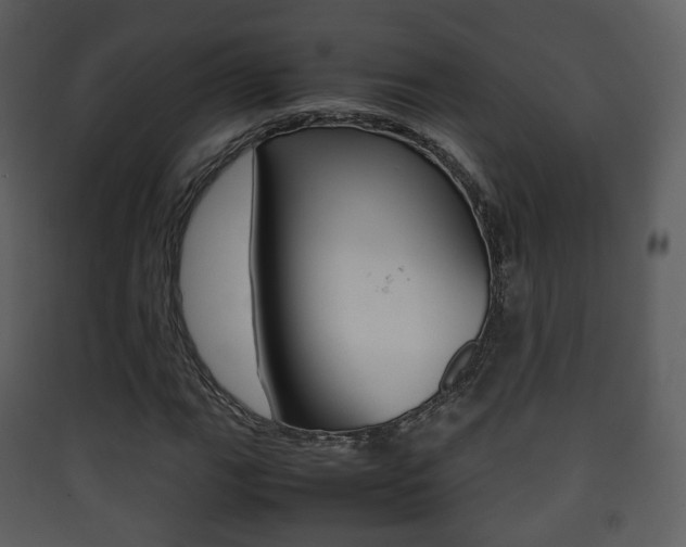 X0000090411111200707130919