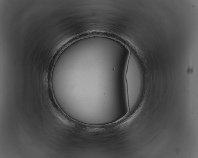 X0000090411113200707130919
