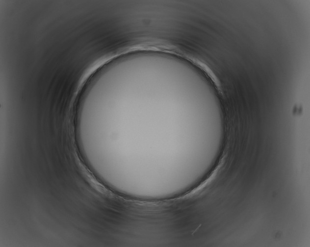X0000090411114200707130919