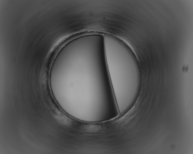 X0000090411115200707130919
