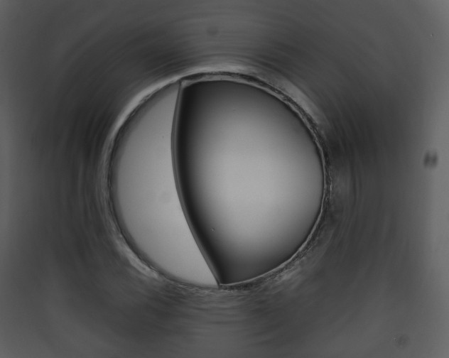X0000090411116200707130919