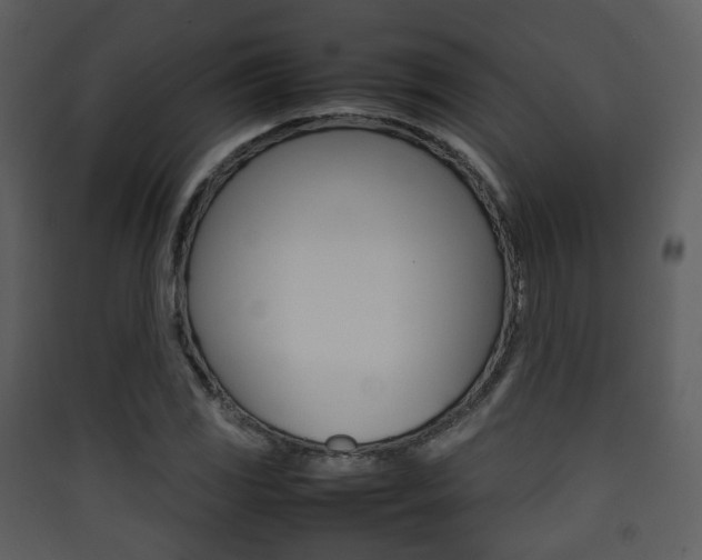X0000090411117200707130919