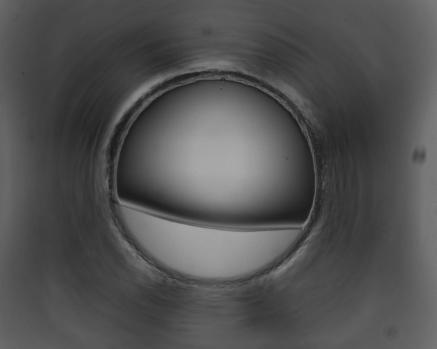 X0000090411118200707130919