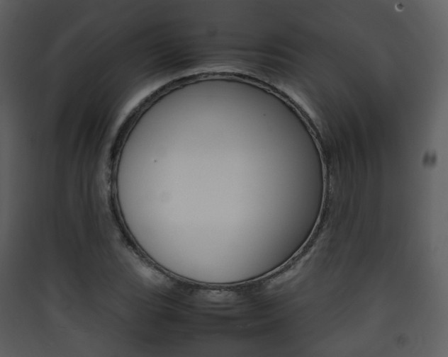 X0000090411119200707130919