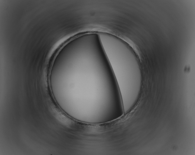 X0000090411120200707130919
