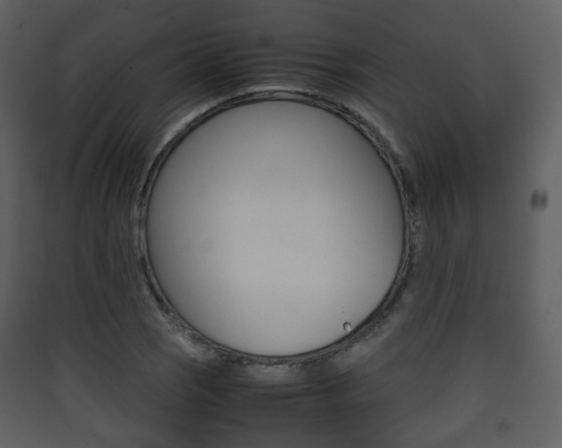 X0000090411121200707130919