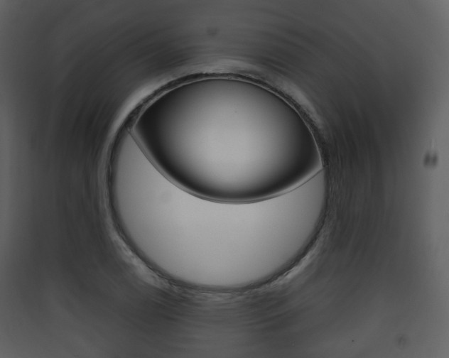 X0000090411122200707130919