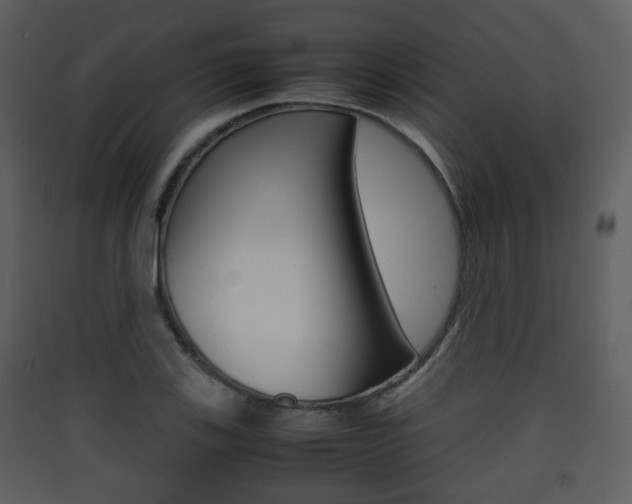 X0000090411123200707130919