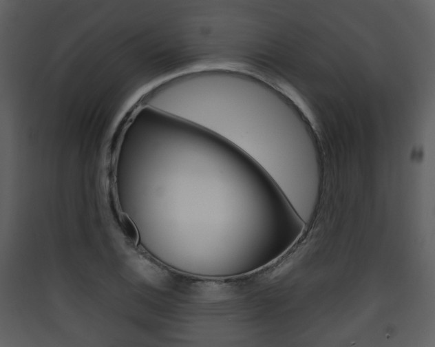 X0000090411124200707130919