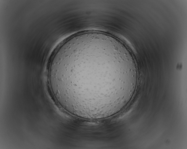 X0000090411125200707130919