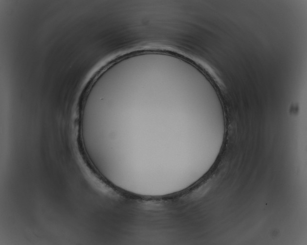 X0000090411126200707130919