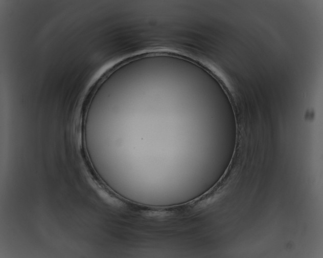 X0000090411127200707130919