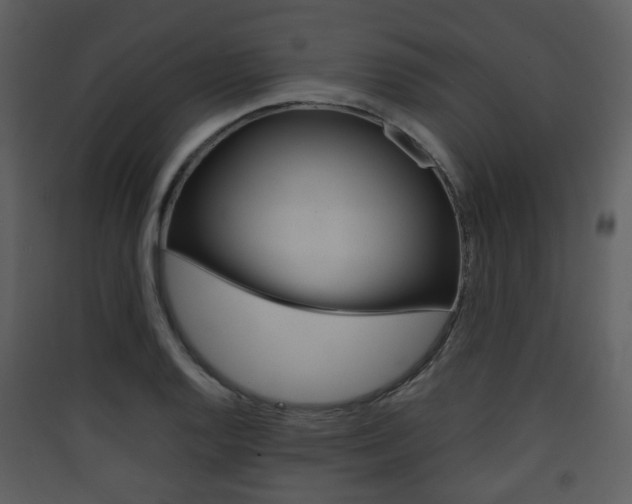 X0000090411128200707130919