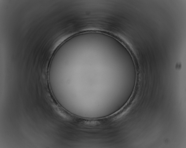 X0000090411129200707130919