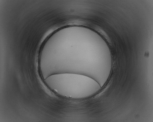 X0000090411130200707130919