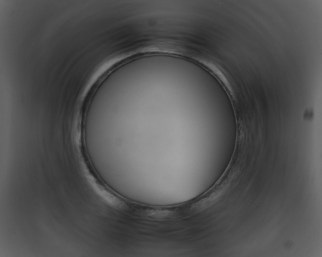 X0000090411131200707130919