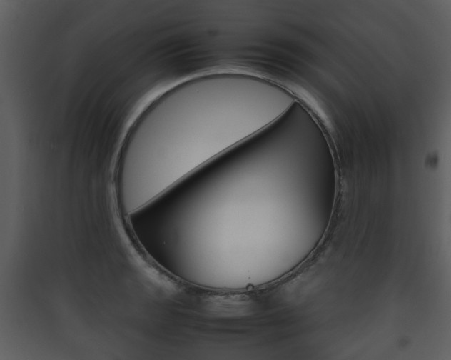X0000090411133200707130919