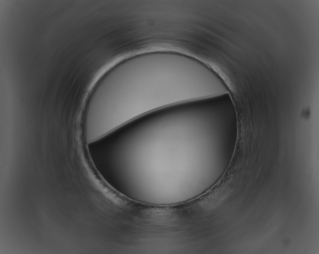 X0000090411134200707130919
