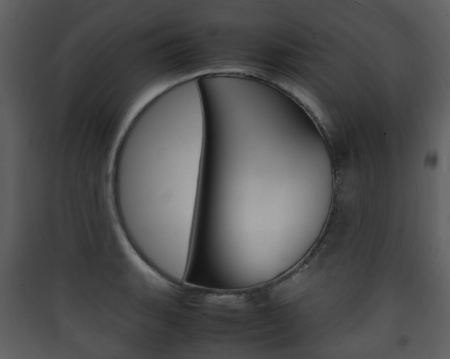 X0000090411135200707130919