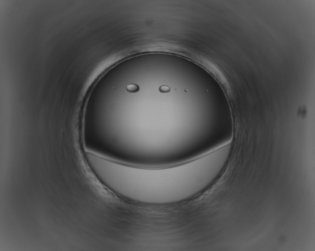 X0000090411138200707130919