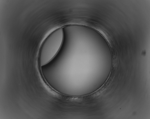 X0000090411139200707130919