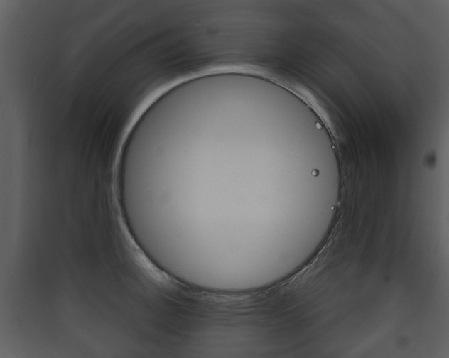 X0000090411140200707130919