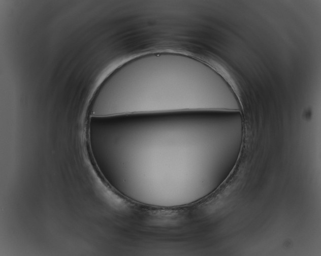 X0000090411141200707130919