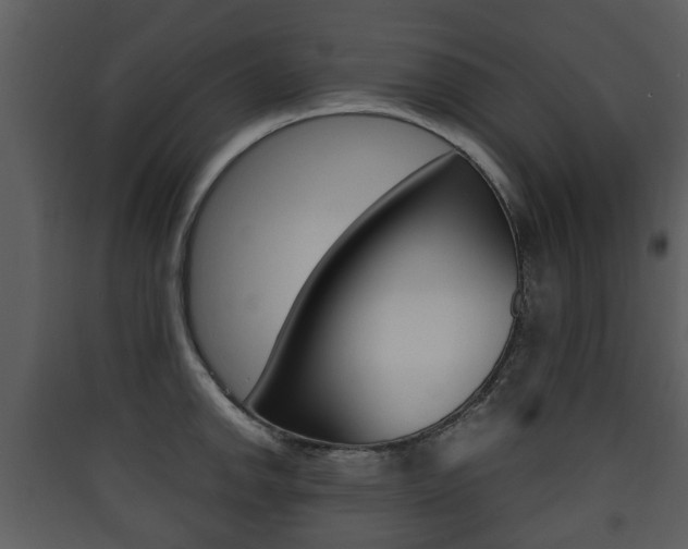 X0000090411142200707130919