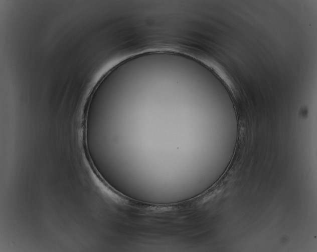X0000090411143200707130919