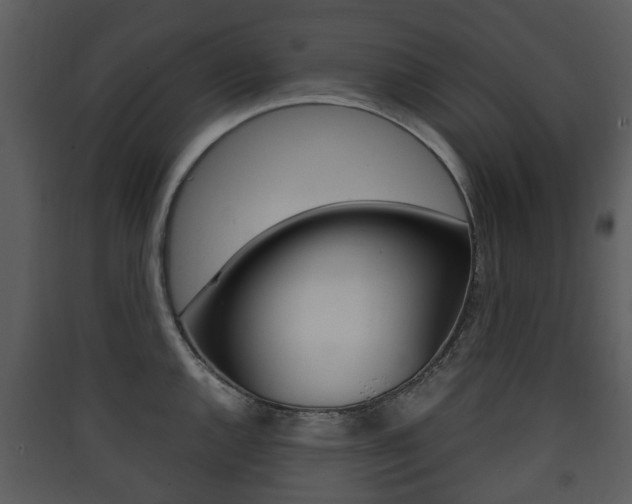 X0000090411144200707130919
