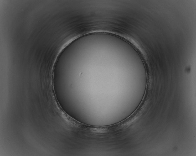X0000090411145200707130919