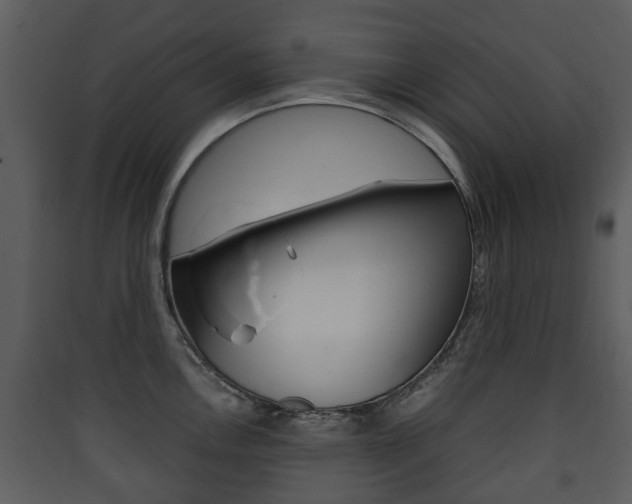 X0000090411146200707130919