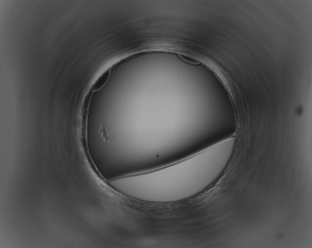 X0000090411147200707130919
