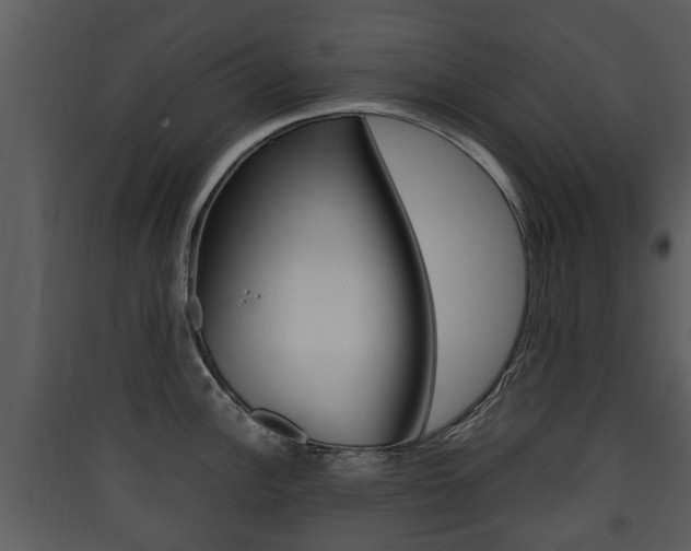 X0000090411148200707130919