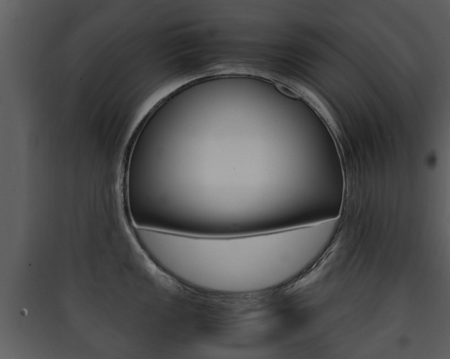 X0000090411149200707130919