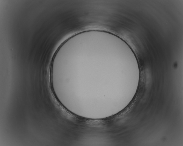 X0000090411150200707130919