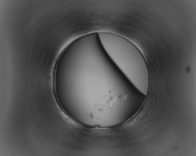 X0000090411151200707130919