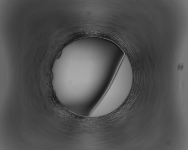 X0000090411153200707130919