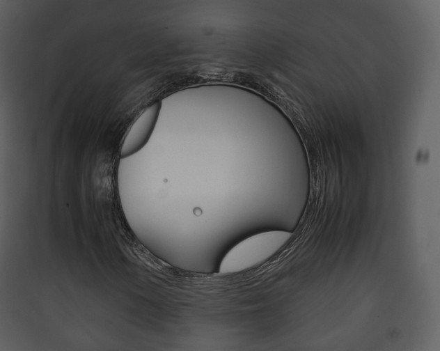 X0000090411154200707130919
