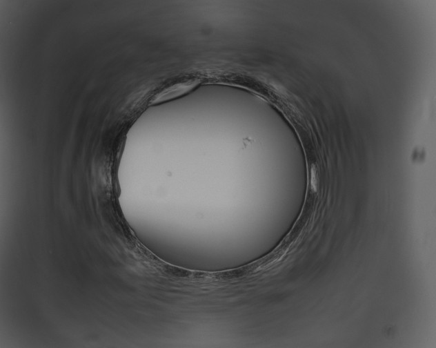 X0000090411155200707130919