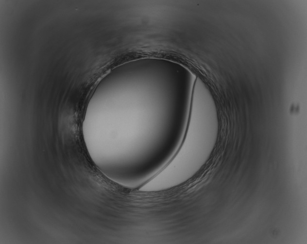 X0000090411156200707130919