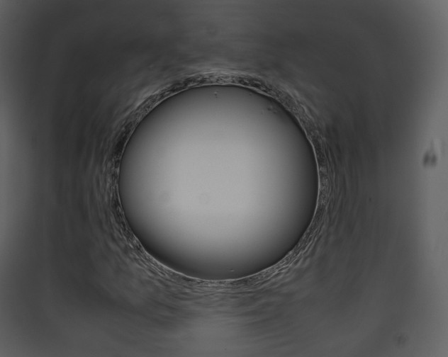 X0000090411157200707130919