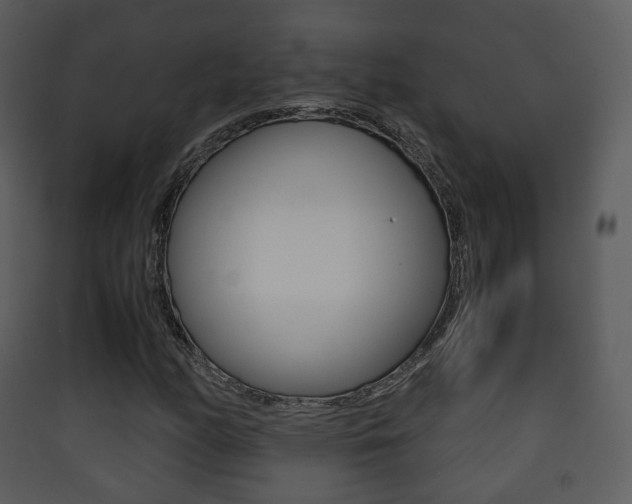 X0000090411158200707130919