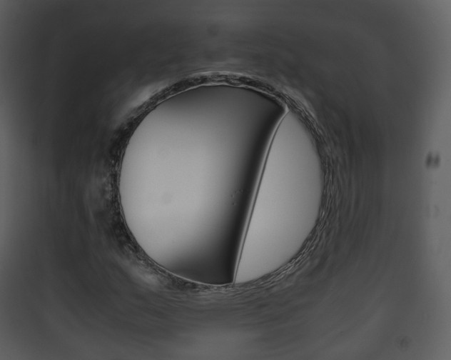 X0000090411159200707130919