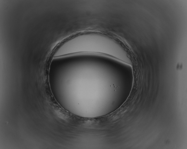 X0000090411160200707130919