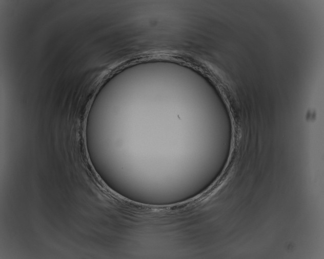 X0000090411161200707130919